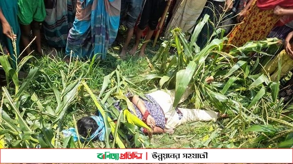 জামালপুরে ভুট্টাক্ষেতে হাত-পা বাঁধা নারীর মরদেহ উদ্ধার