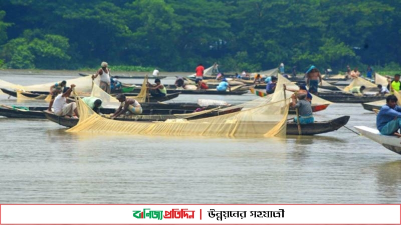 হালদায় ‘রেকর্ড পরিমাণ’ মাছের ডিম সংগ্রহ