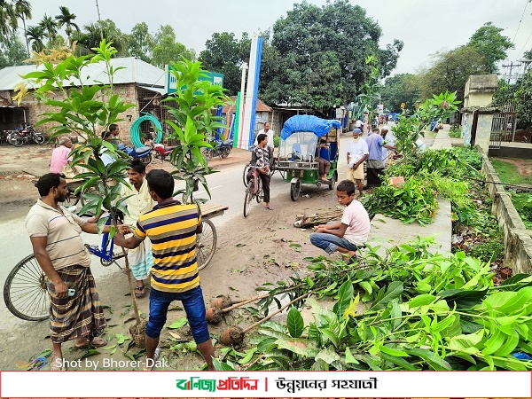 এ যেন রাস্তার ধারে সবুজের মেলা