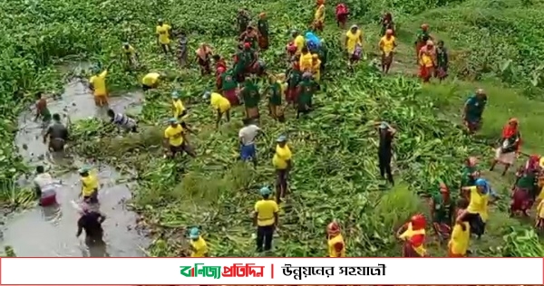 কুমার নদে শুরু হয়েছে কচুরিপানা অপসারণ কাজ