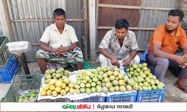 ঠাকুরগাঁওয়ে বাজারে আমের দাম চড়া