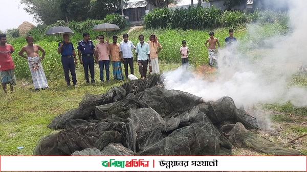 বাসাইলে দুই লাখ ৫০ হাজার টাকার চায়না জাল ধ্বংস