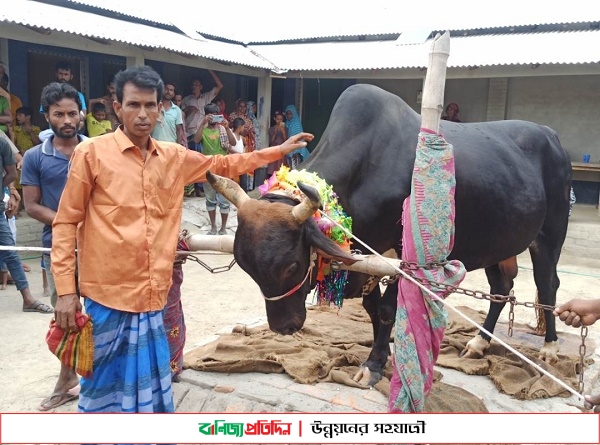 ৪২ মণ ওজনের বিগবস কিনলে মোটরসাইকেল উপহার  