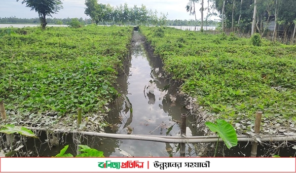 কুড়িগ্রামে বন্যা পরিস্থিতির উন্নতি