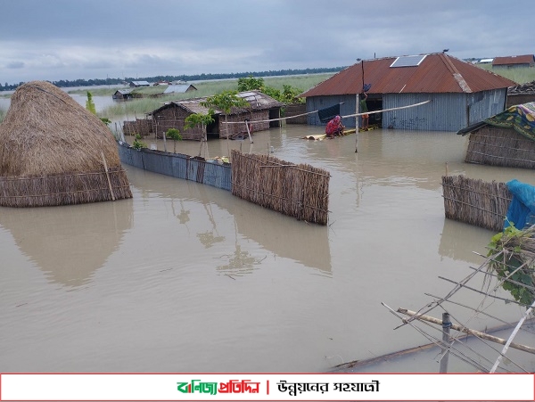 কুড়িগ্রামে পানিবন্দী মানুষের দরকার শুকনো খাবার ও বিশুদ্ধ পানি