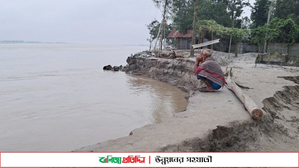 কুড়িগ্রামে তিস্তার ভাঙন,অর্ধশতাধিক বাড়ীঘর নদীগর্ভে বিলিন