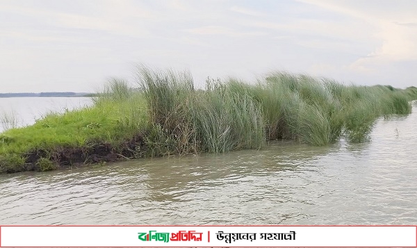 যমুনায় কমছে পানি,দুর্ভোগ কাটেনি চরাঞ্চলবাসীর