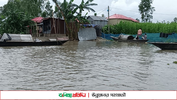 চিলমারীতে বাড়ছে ব্রহ্মপুত্রের পানি, প্লাবিত হচ্ছে সমতল ভূমি