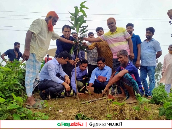 ঝিনাইগাতীতে ইউসিবি ব্যাংকের বৃক্ষরোপণ কর্মসূচির উদ্বোধন