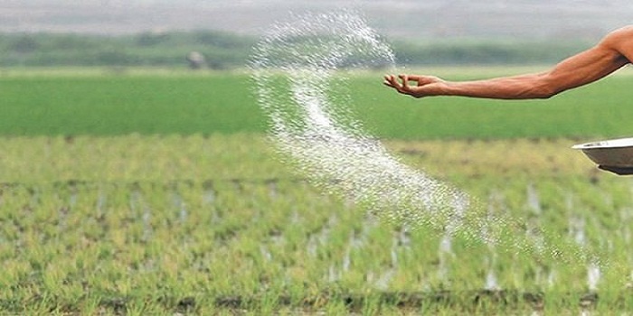 ১৪০ কোটি টাকার সার কিনবে সরকার