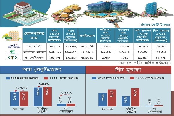 পুঁজিবাজারের ভ্রমণ খাতের কোম্পানির ব্যবসায় মন্দা