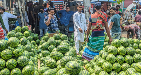 প্রতিদিন কোটি টাকার তরমুজ বিক্রি হয় মুক্তারপুরে