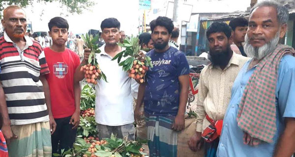 ফলন বিপর্যয়ে দাম দ্বিগুণ বৃদ্ধি পাবনার লিচুর