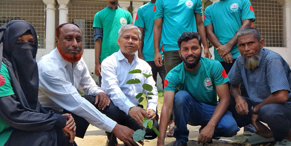 বিলুপ্ত প্রায় রক্ত চন্দন গাছ লাগিয়েছে বিডি ক্লিন ঠাকুরগাঁও