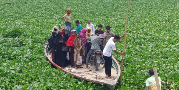 ৮০ কিলোমিটার নৌপথে কচুরিপানায় নৌযান চলাচল ব্যাহত