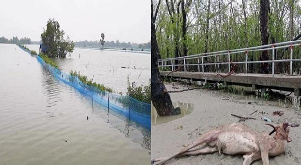 ঘূর্ণিঝড় রিমাল: মৎস্য-প্রাণিসম্পদ খাতে ৭০১ কোটি ৪১ লাখ টাকার ক্ষয়ক্ষতি