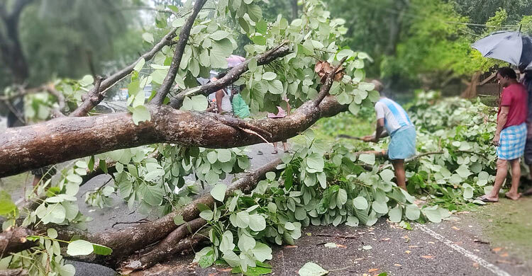 ঘূর্ণিঝড় রেমালের তাণ্ডবে লন্ডভন্ড কক্সবাজার