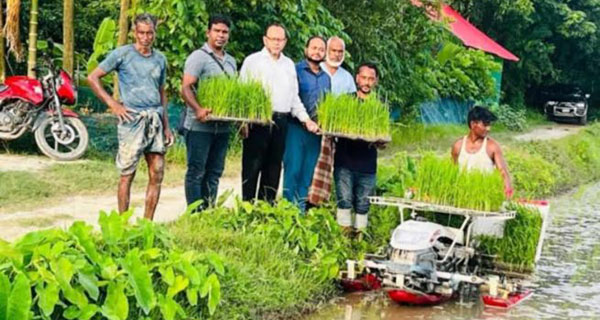 ফেনীতে রাইস ট্রান্সপ্লান্টারে ধানের চারা রোপণ উদ্বোধন