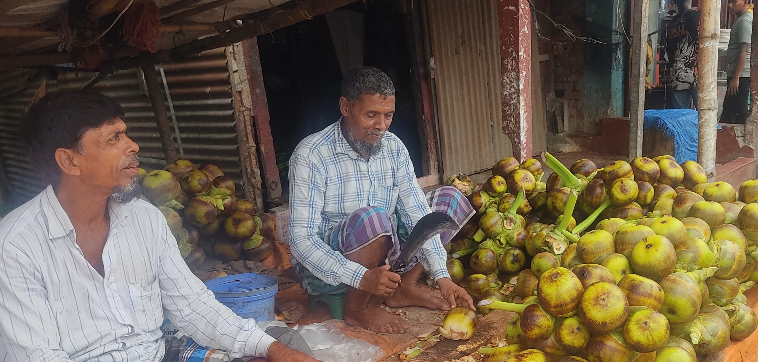 মতলব উত্তরে গরমে তালের শাঁস বিক্রির ধুম