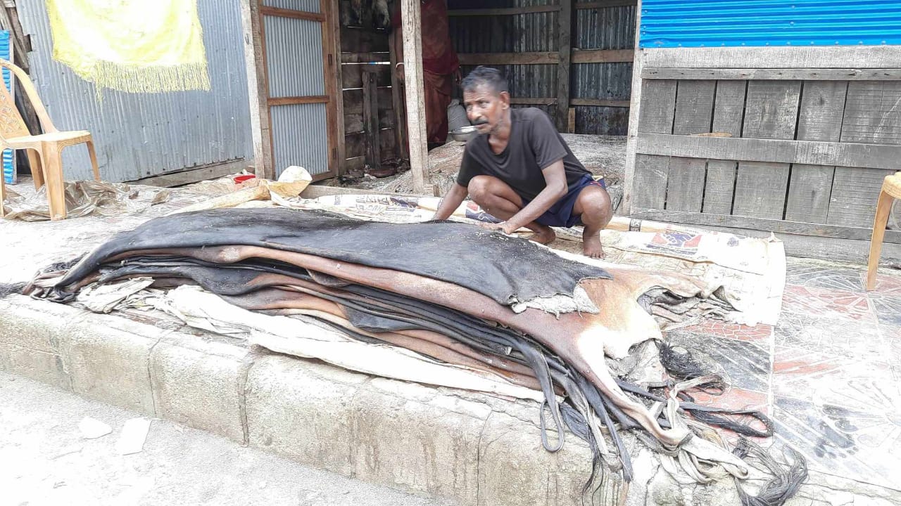 বাগেরহাটে পশুর চামড়া নিয়ে বিপাকে ব্যবসায়ীরা