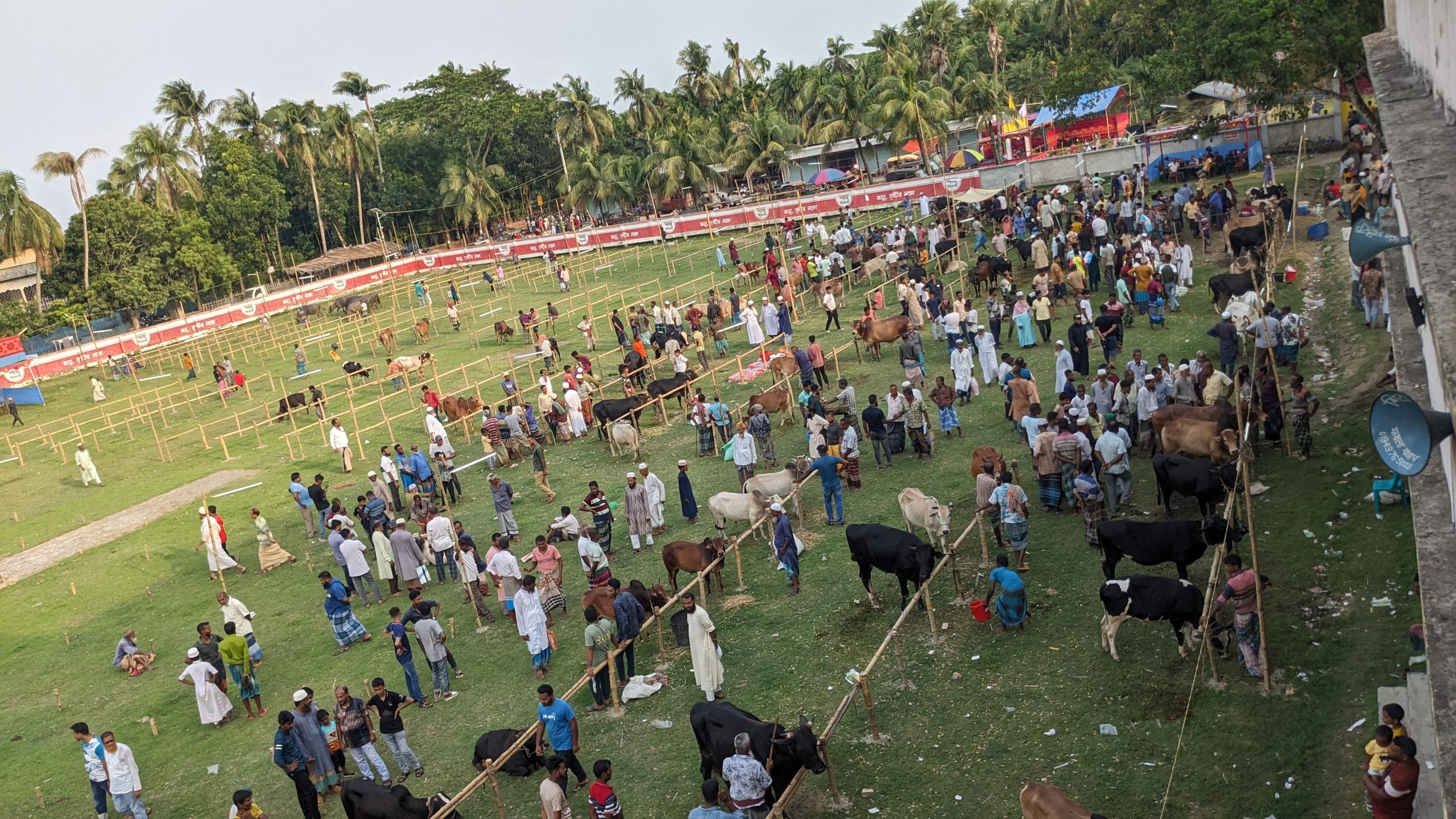 বাগেরহাটে পশুর হাটে ক্রেতা-বিক্রেতাদের ভীড়, ক্রয়-বিক্রয় কম