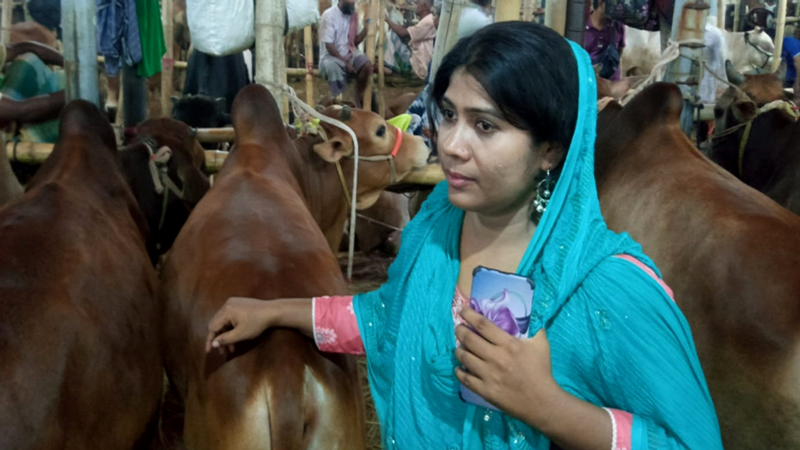 চট্টগ্রামে কোরবানির হাটে গরু বিক্রেতা উত্তরবঙ্গের সালমা