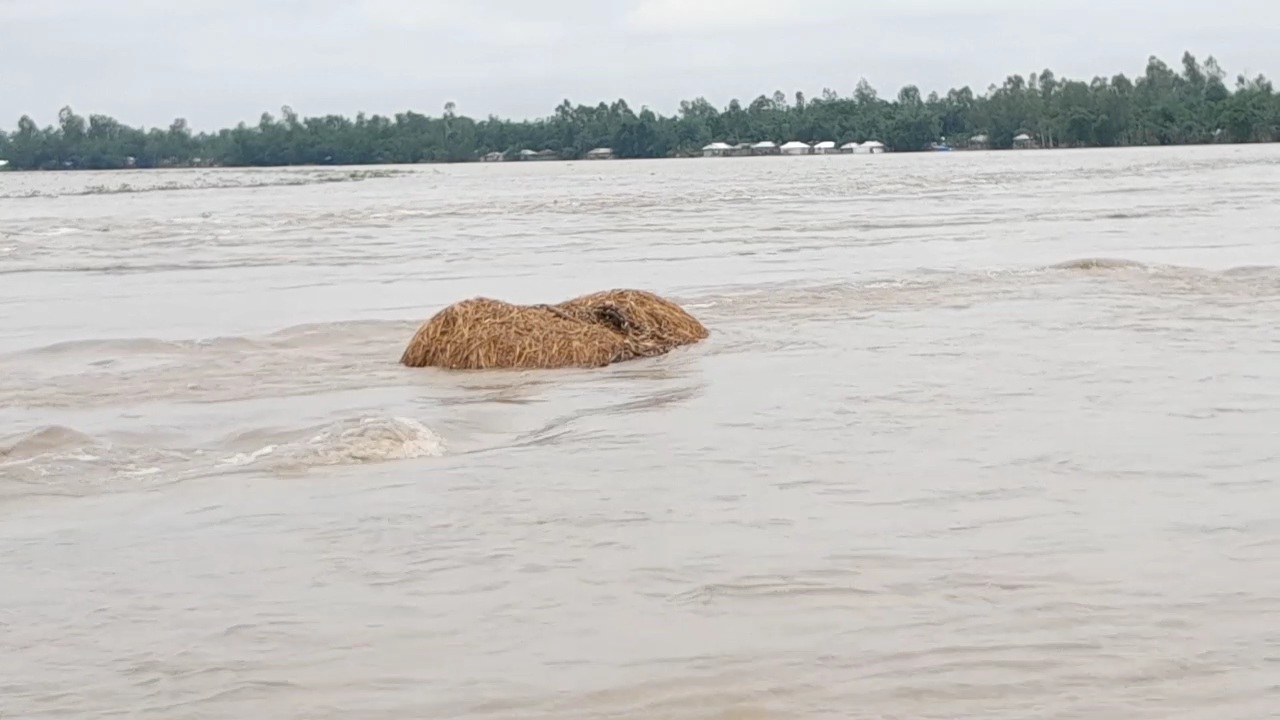 তিস্তায় পানি বিপদসীমার উপরে