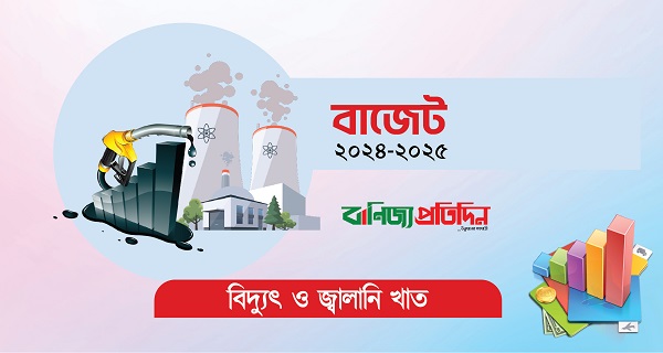 বিদ্যুৎ-জ্বালানি খাতে বরাদ্দ কমল