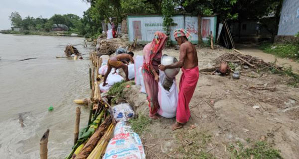 দৌলতদিয়া ফেরিঘাটে ভাঙন ঠেকাতে বালির বস্তা ফেলছে এলাকাবাসী