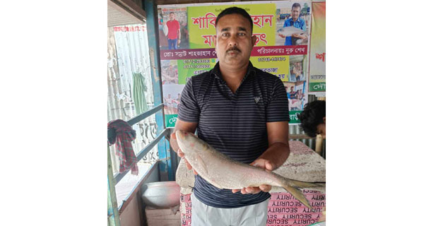 এক ইলিশের দাম ৬ হাজার টাকা