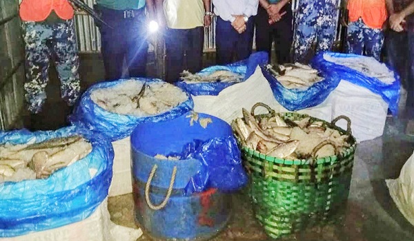 চট্টগ্রামে ৪০০ কেজি সামুদ্রিক মাছ জব্দ করে নিলামে বিক্রি