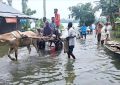 কুড়িগ্রামে বন্যা পরিস্থিতি ভয়াবহ: দু’লাখ মানুষ পানিবন্দি