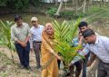 সরিষাবাড়ীতে বৈষম্যবিরোধী ছাত্র আন্দোলনের উদ্যোগে বৃক্ষ রোপন কর্মসূচি