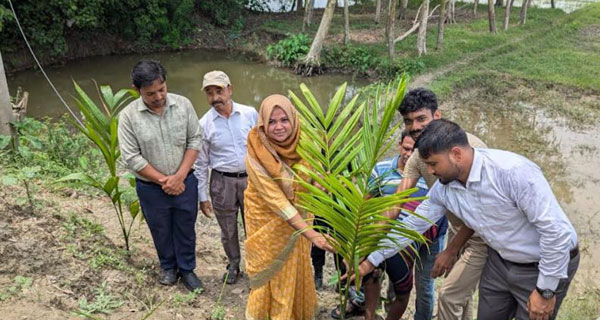 সরিষাবাড়ীতে বৈষম্যবিরোধী ছাত্র আন্দোলনের উদ্যোগে বৃক্ষ রোপন কর্মসূচি