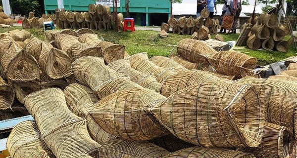 ঝিনাইগাতীর হাটবাজারে চাঁই বিক্রির ধুম