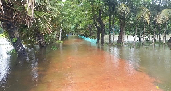 চাঁদপুর শাহরাস্তিতে অর্ধলক্ষাধিক মানুষ পানিবন্দি