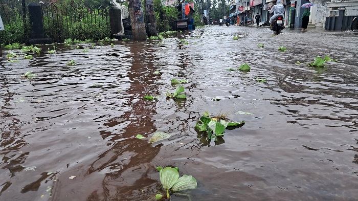 বাগেরহাটে টানা বৃষ্টিতে শহরে হাটু পানি, দূর্ভোগ চরমে