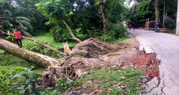 চাঁদপুরের ছয় উপজেলায় বন্যায় ১৯২ গ্রামীণ সড়ক ক্ষতিগ্রস্ত