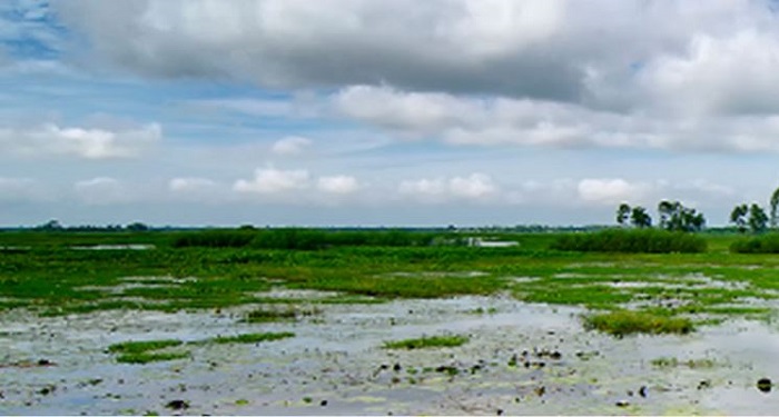 নৌকা ভ্রমণে গিয়ে প্রাণ গেল ফুফু-ভাতিজির