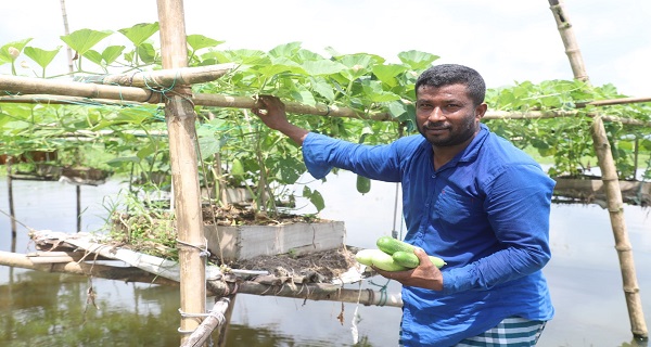 নবীনগরে সম্ভাবনার নতুন দিগন্ত ভাসমান কৃষি