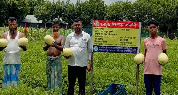 নবীনগরে গ্রীষ্মকালীন তরমুজে আগ্রহ কৃষকদের