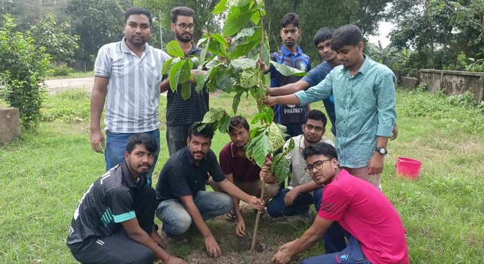 চব্বিশের আন্দোলনে শহিদদের স্মরণে ইবিতে বৃক্ষরোপণ