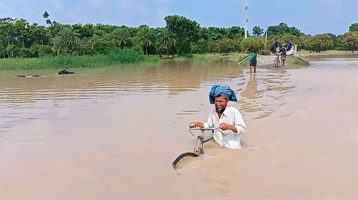 পদ্মায় পানি বৃদ্ধি: দৌলতপুরের নিম্নাঞ্চল প্লাবিত, ফসলের ব্যাপক ক্ষতি