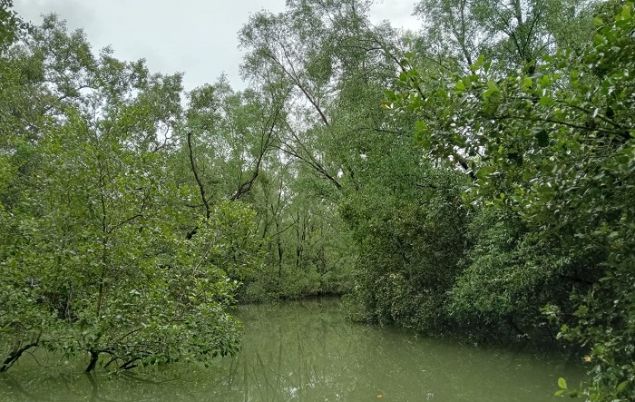 অনুন্নত যাতায়াত ব্যবস্থা, পর্যটকের সংখ্যা কমছে সুন্দরবনে