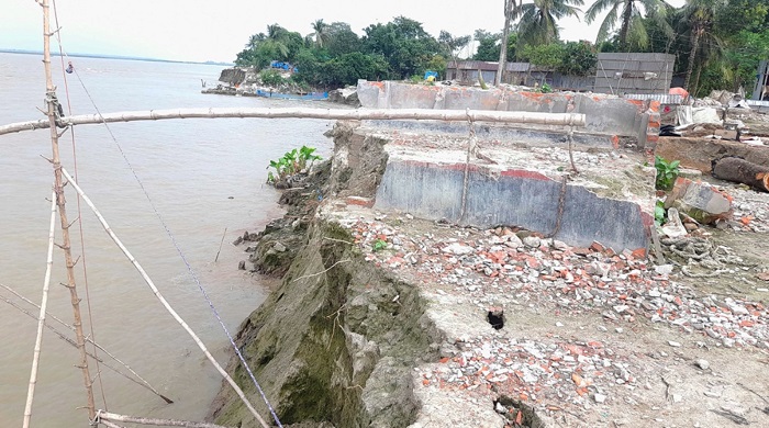 সিরাজগঞ্জে যমুনার ভাঙ্গনে বিলীন হচ্ছে একের পর এক বসতবাড়ি