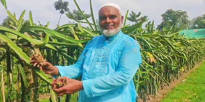 ড্রাগন চাষে খোরশেদের সাফল্য: নতুন উদ্যোক্তাদের অনুপ্রেরণা