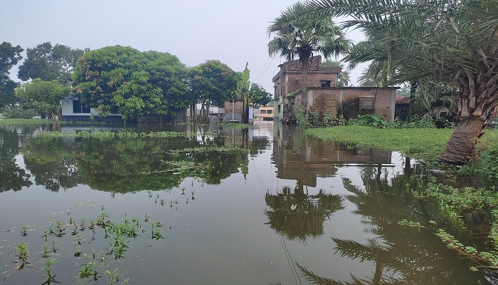 সাতক্ষীরার ডুবে যাওয়া বিস্তীর্ণ অঞ্চলে খাদ্যাভাব, স্যানিটেশন ও স্বাস্থ্যসেবা বিঘ্নিত