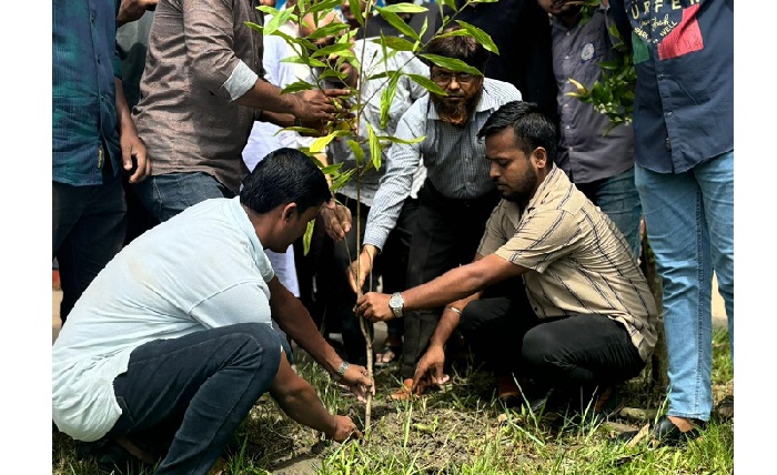 কলেজ আঙিনায় ছাত্রদলের বৃক্ষরোপণ