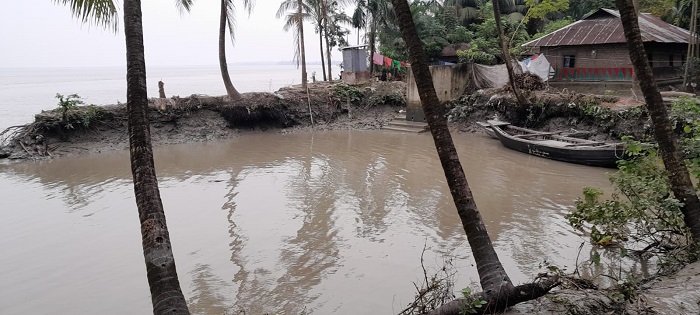 নোয়াখালীর কোম্পানীগঞ্জে মাছ ধরার নৌকায় গাছ ভেঙে পড়ে নিখোঁজ ১