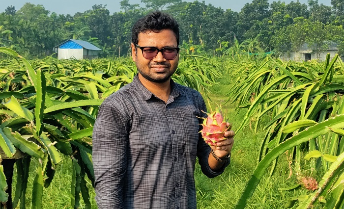 লক্ষ্মীপুরে ড্রাগন চাষ করে কম্পিউটার ইঞ্জিনিয়ার নাঈমের আলোড়ন সৃষ্টি